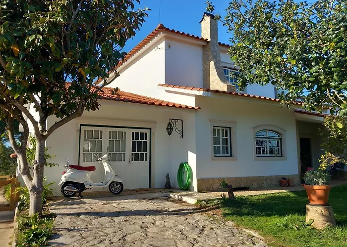 The Space - Central Portugal